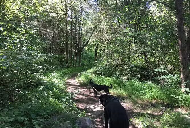 Hillandale Park - Harrisonburg, VA