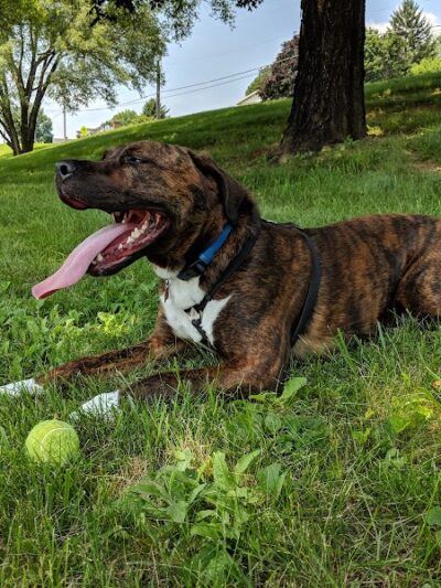 Kiwanis Park - Harrisonburg, VA