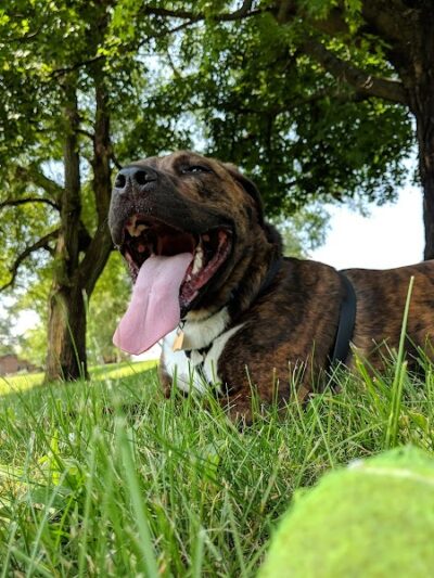 Kiwanis Park - Harrisonburg, VA