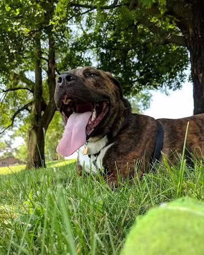 Kiwanis Park - Harrisonburg, VA