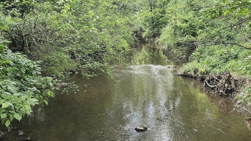 Purcell Park - Harrisonburg, VA