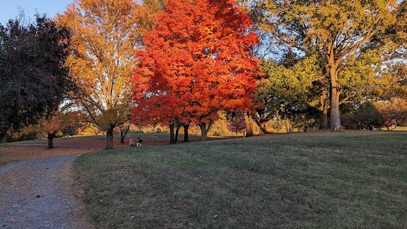Purcell Park - Harrisonburg, VA
