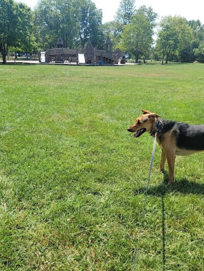 Purcell Park - Harrisonburg, VA
