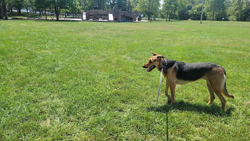 Purcell Park - Harrisonburg, VA