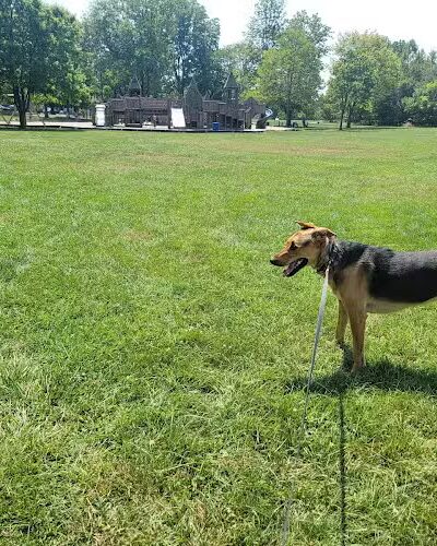 Purcell Park - Harrisonburg, VA