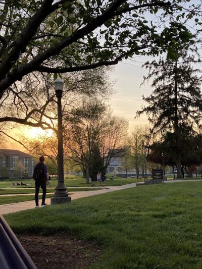 The Quad - Harrisonburg, VA