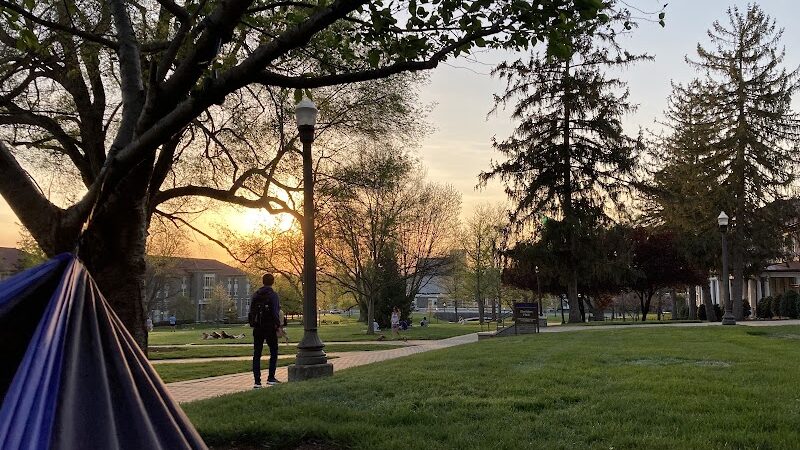 The Quad - Harrisonburg, VA