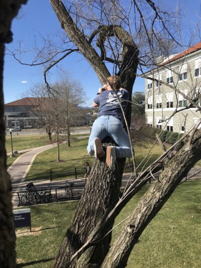 The Quad - Harrisonburg, VA