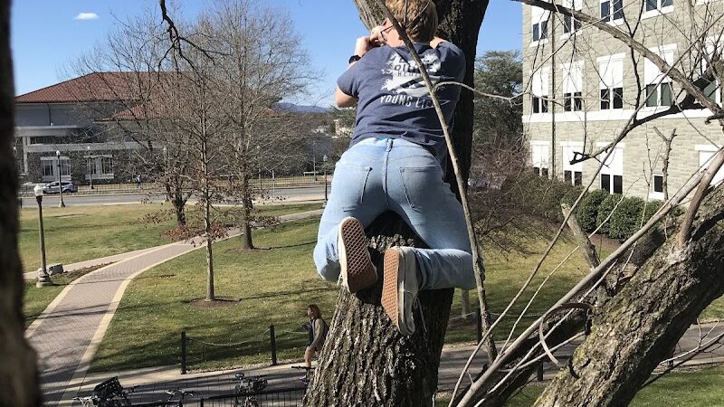 The Quad - Harrisonburg, VA