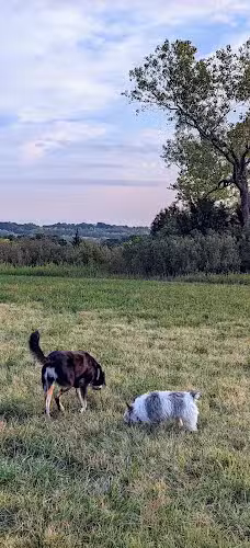 Harrisonville Dog Park - Harrisonville, MO