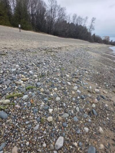 Harrisville State Park - Harrisville,