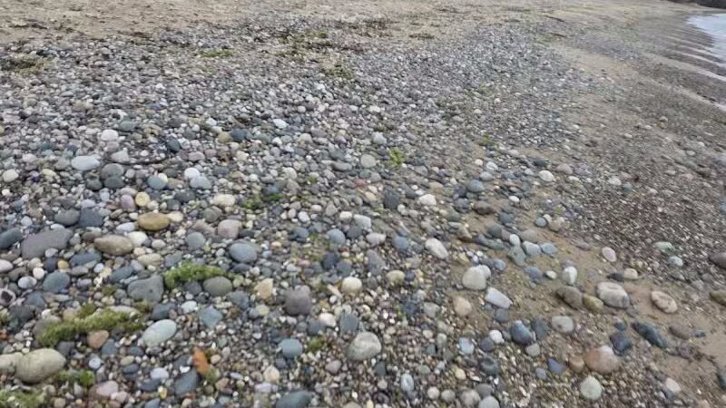 Harrisville State Park - Harrisville,