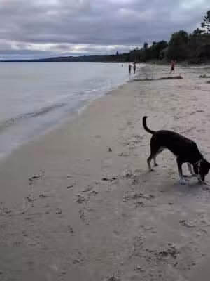 Harrisville State Park - Harrisville,