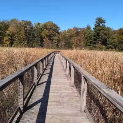 Gales Pond County Park - Hart,