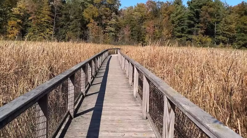 Gales Pond County Park - Hart,