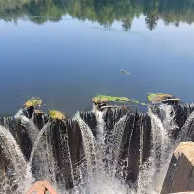 Gales Pond County Park - Hart,