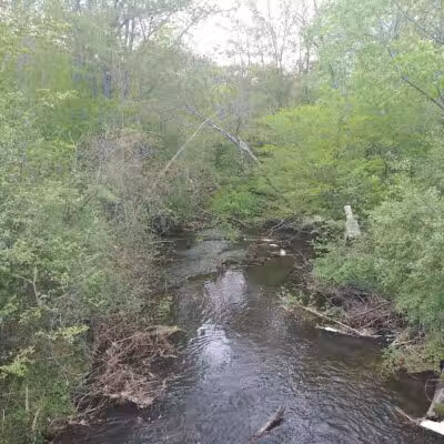 Gales Pond County Park - Hart,