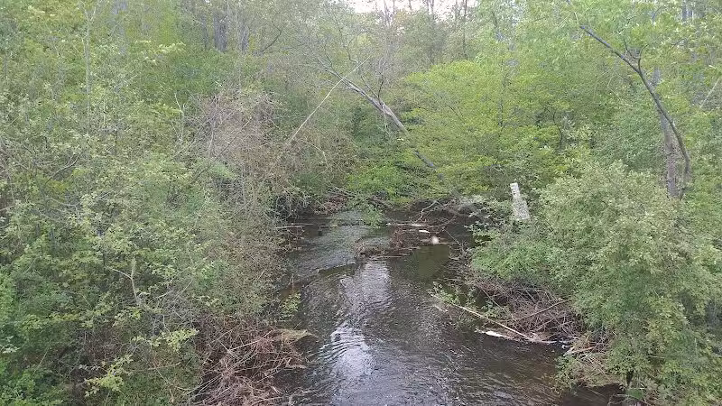 Gales Pond County Park - Hart,