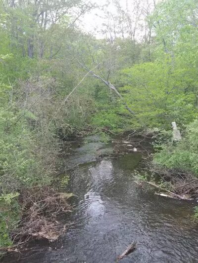 Gales Pond County Park - Hart,