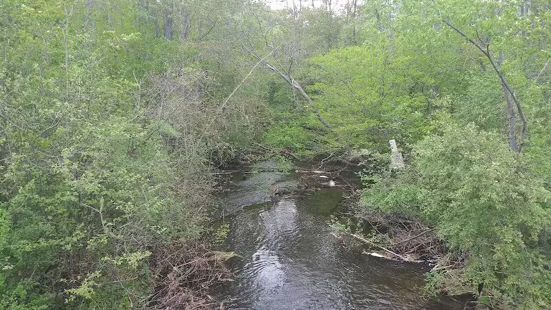 Gales Pond County Park - Hart,