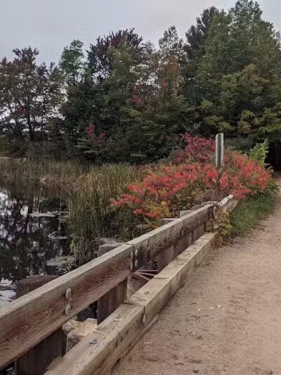 Gales Pond County Park - Hart,