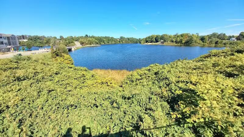 Hart Commons - Hart,