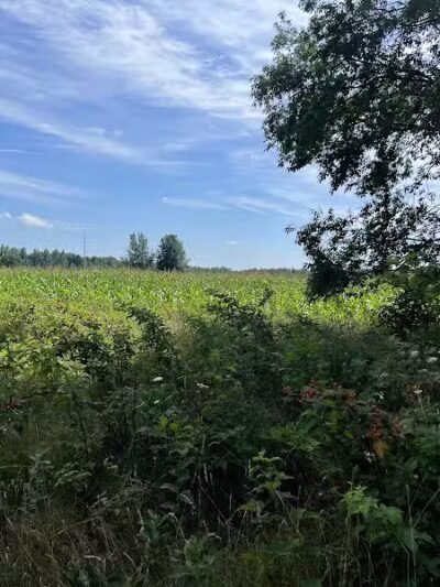 Hart Trailhead - Hart,