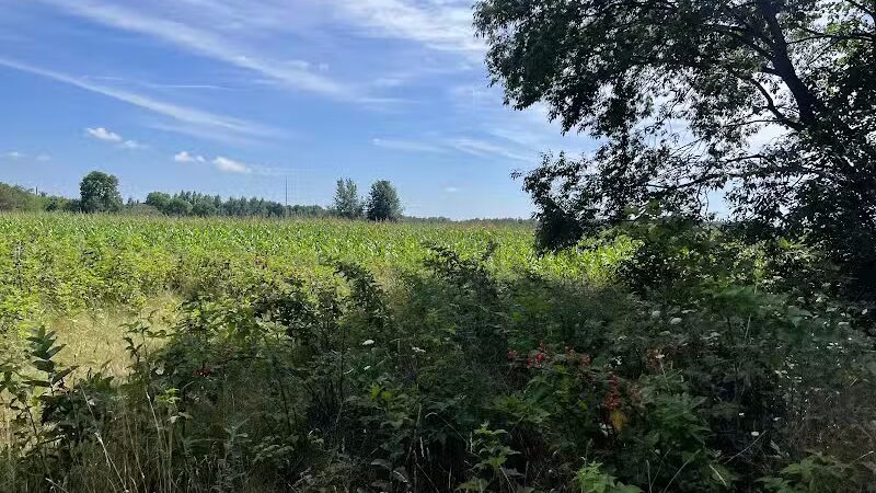 Hart Trailhead - Hart,