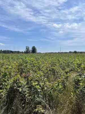 Hart Trailhead - Hart,