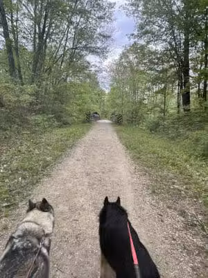 Van Buren Trail State Park - Hartford,