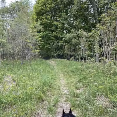 Van Buren Trail State Park - Hartford,
