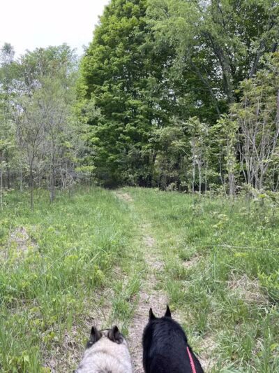 Van Buren Trail State Park - Hartford,