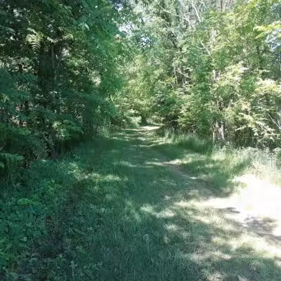 Van Buren Trail State Park - Hartford,