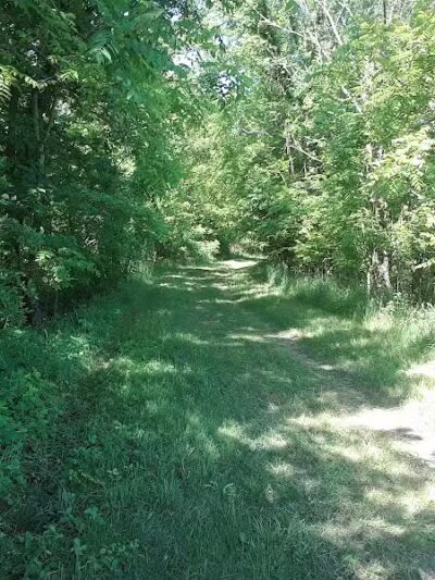 Van Buren Trail State Park - Hartford,