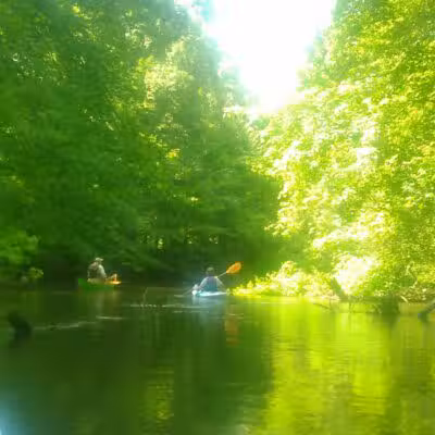 Van Buren Trail State Park - Hartford,