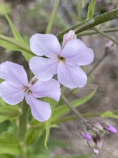 Van Buren Trail State Park - Hartford,