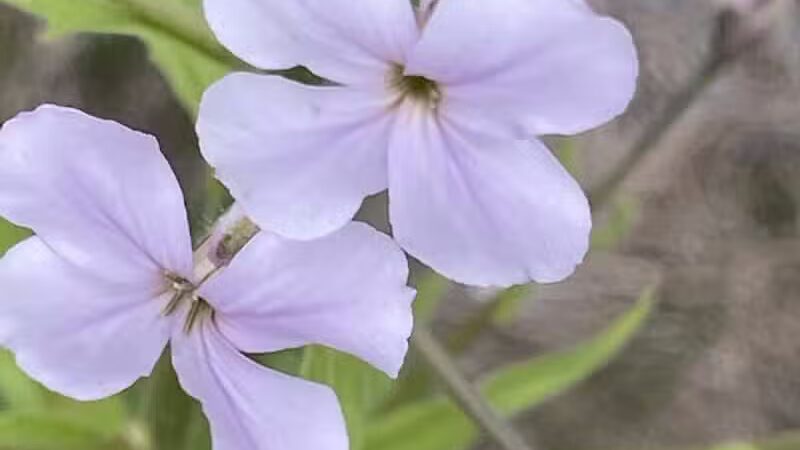 Van Buren Trail State Park - Hartford,