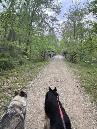 Van Buren Trail State Park - Hartford,