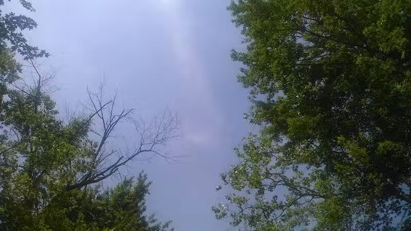 Van Buren Trail State Park - Hartford,
