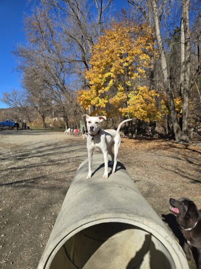 Watson Park - Hartford, VT