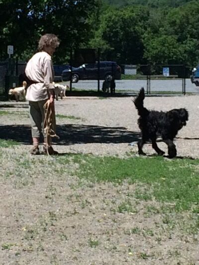 Watson Park - Hartford, VT
