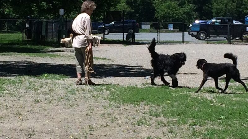 Watson Park - Hartford, VT