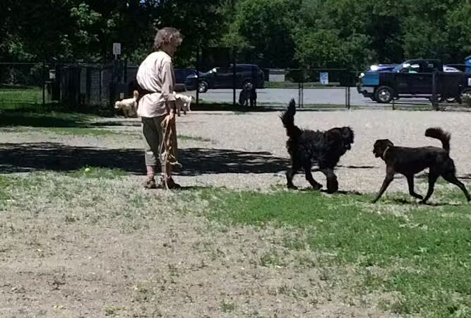 Watson Park - Hartford, VT