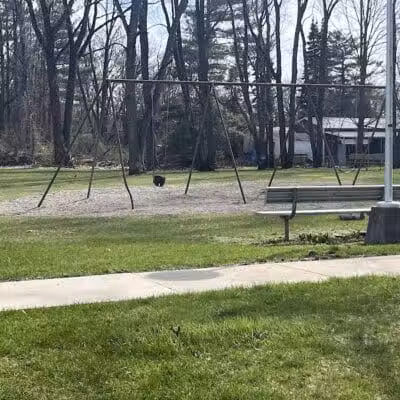 Don Epley Park - Hartland, MI
