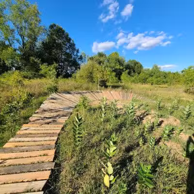 Settlers Park - Hartland, MI