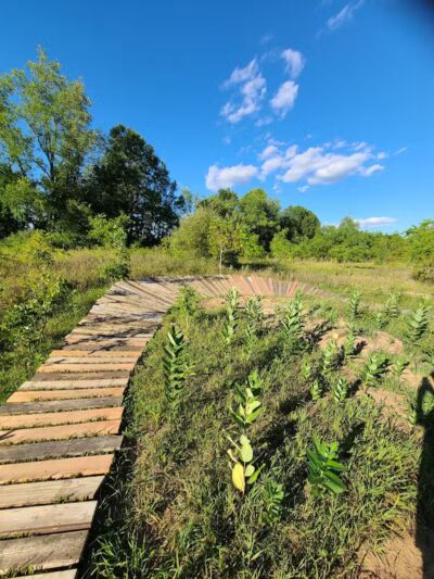 Settlers Park - Hartland, MI