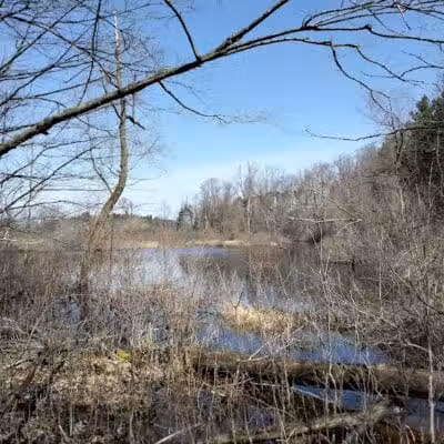Settlers Park - Hartland, MI