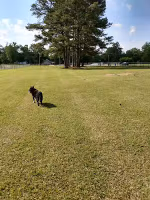 Hartselle Dog Park - Hartselle, AL