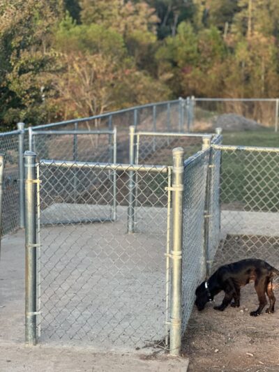 Hartwell Dog Park - Hartwell, GA