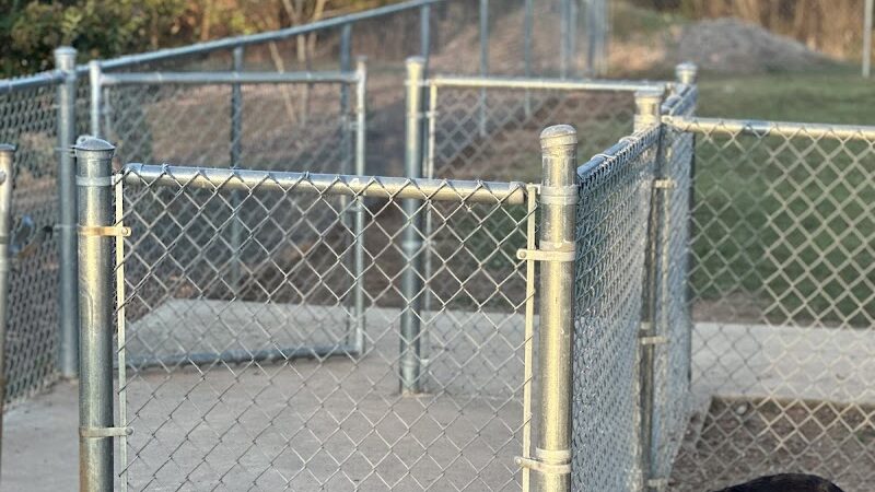 Hartwell Dog Park - Hartwell, GA